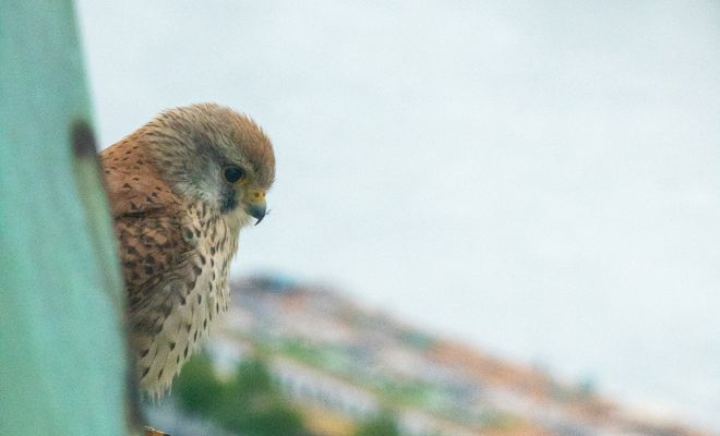 ����: Unsplash